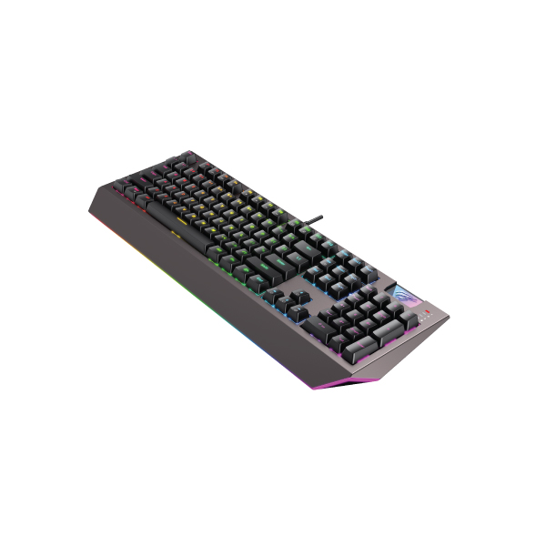 HAVIT KB872L RGB Backlit Multi Function Mechanical Keyboard