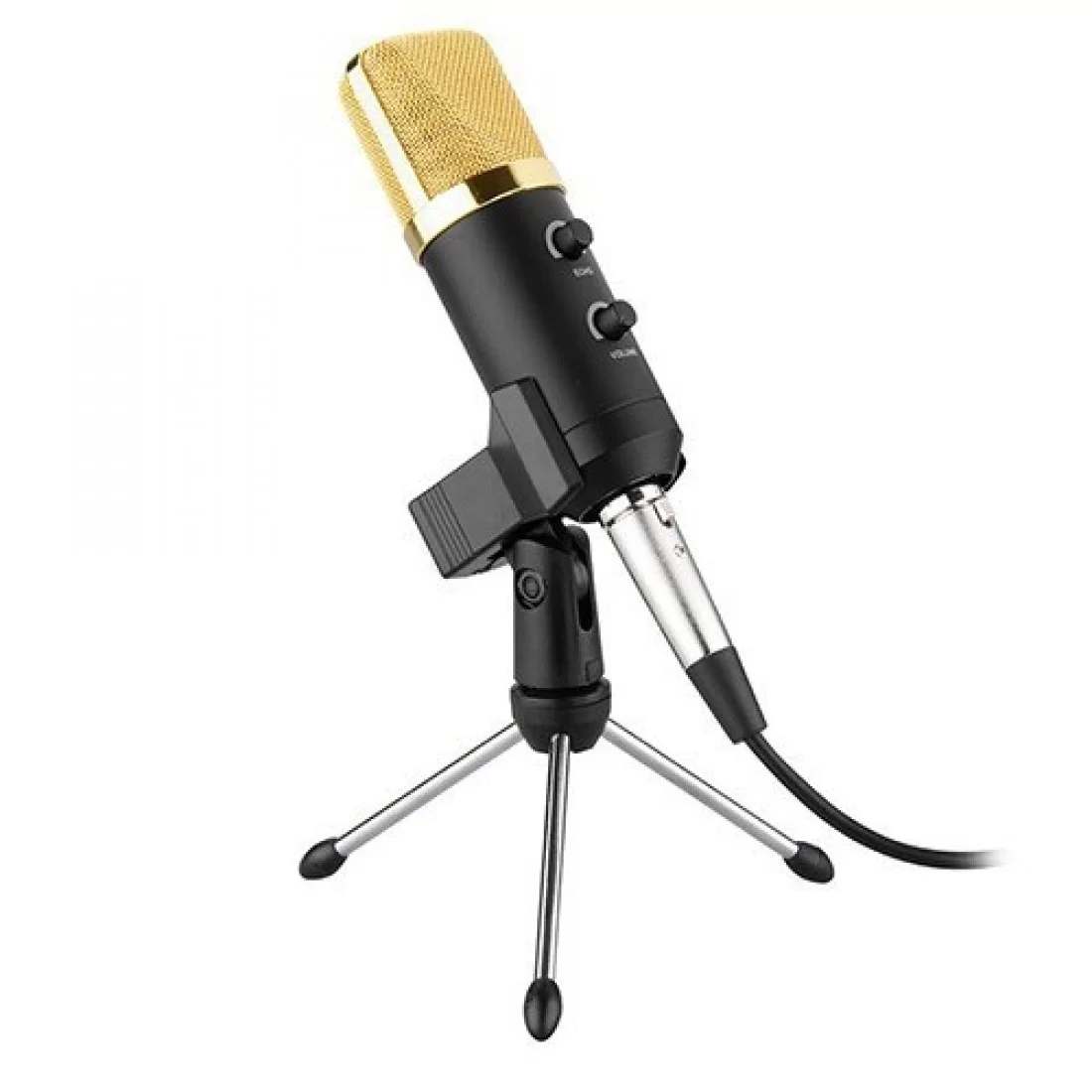 BM-100FX Professional Condenser Microphone