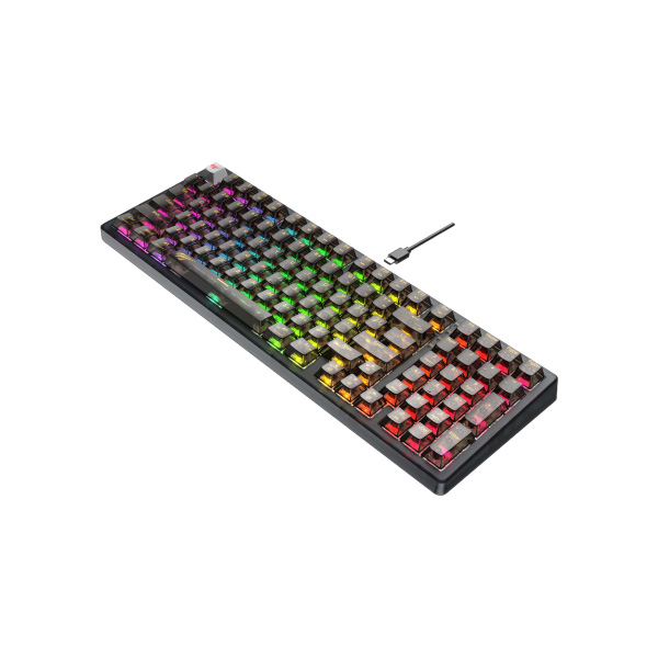 HAVIT KB875L GAMENOTE USB TO TYPE-C RGB BACKLIT CUSTOM LIGHTING MECHANICAL KEYBOARD WITH TRANSPARENT KEY