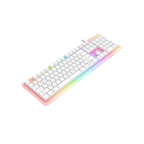 HAVIT KB876L USB Multi-function backlit Keyboard