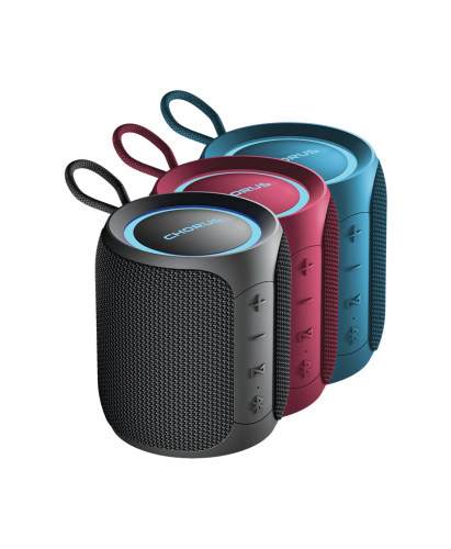 Walton PS16 Portable Water-proof Bluetooth Speaker