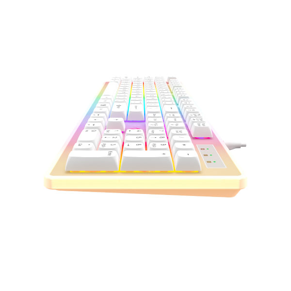 HAVIT KB876L USB Multi-function backlit Keyboard